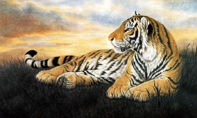 60年属鼠的属相婚配表（九一年属羊人的婚配表）