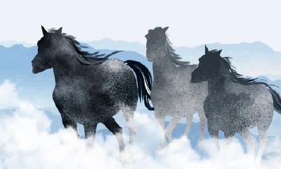 属马的几月出生最好命运如何（属鸡几月出生最好命运）