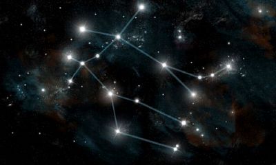 金牛座有什么超能力（金牛座语言天赋）