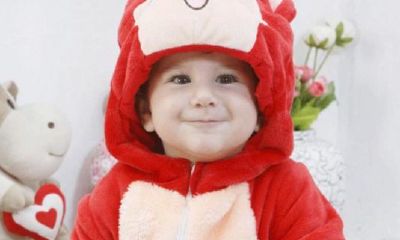 虎年取名字取鹿字怎么样（虎年取名字禁忌）