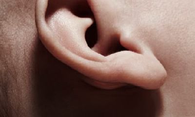 耳垂藏珠的面相（耳垂上有凸起小珠面相）