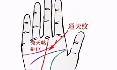 女左手手相中间四方纹（女人四条掌纹手相）