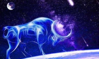 金牛座男男生性格（典型金牛座男生性格）