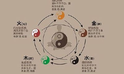 五行五色五味对应表图（五行五色五味五季五脏图）