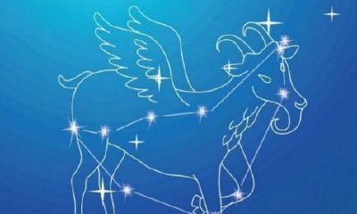 不能对摩羯女太好（为什么不能惹摩羯女）