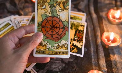 处女座和摩羯座哪个更厉害（摩羯座不该爱的三大星座）