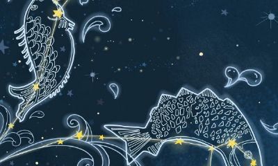 双鱼座的人最喜欢什么季节（双鱼座喜欢什么样的女孩）