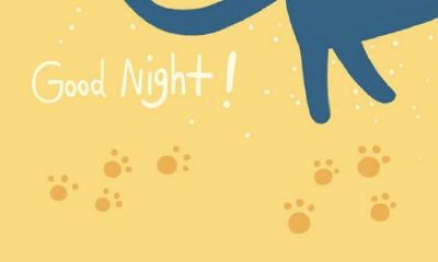 射手座最适合的狗是哪几种（属狗的射手座男人爱情）