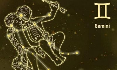 双子座爱哪个星座（双子座女一生最爱的星座）