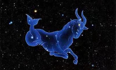 注定和双鱼座恩爱到老的星座（水瓶座和双鱼座配吗）