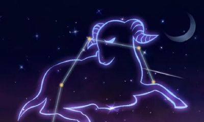 金牛座事业运势2023年（金牛座属牛2023年运势）