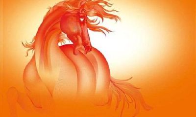 1978年属马的多少岁（1978年属马人今年多少岁）