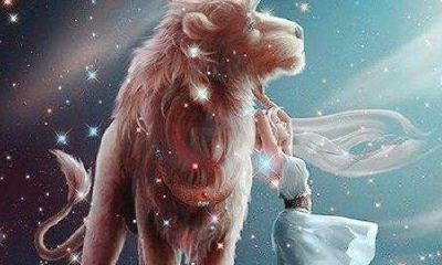 狮子座男生偷看你但是不追你（狮子座男一晚上要几次）