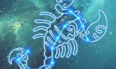 天蝎座会认输吗（天蝎座是一个非常厉害的星座）