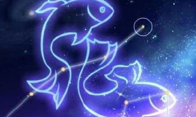 有个双鱼老公是什么体验（双鱼男折磨人的套路）