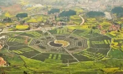 八卦卦象图解析（八卦对应的卦象图）