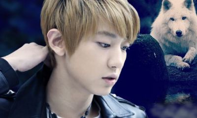 天蝎座什么血型的女人最厉害（天蝎座的晚年都很悲惨）