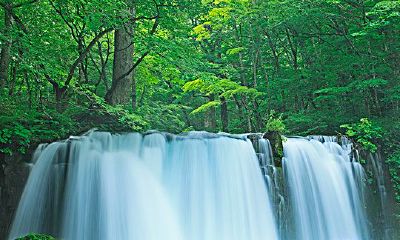 水瓶女不主动就是不喜欢（水瓶女为什么这么高冷）