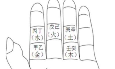 五行手掌分布（手相五行分布）