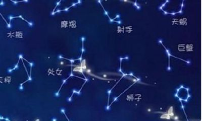 陶白白处女座分析女生运势（陶白白星座双子座）