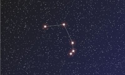 白羊座男和摩羯男谁更长情（白羊座男最疼摩羯座女）