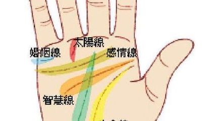 手相女四条线（女手相财运线在哪里）