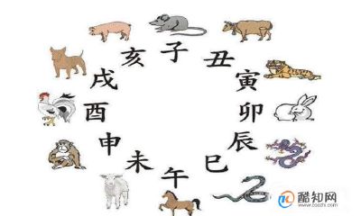 时辰生肖对照表算命（出生日期算命）