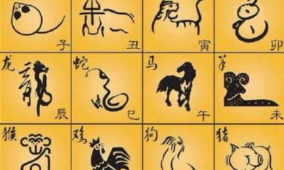 生肖是算农历还是阴历（生肖按公历还是农历）