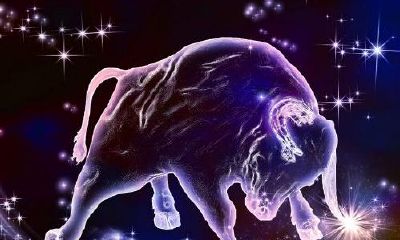 金牛星座月份性格特点（阳历5月份出生的是什么星座）