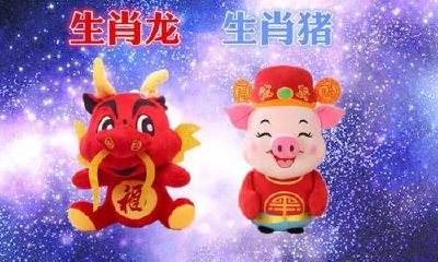 属龙的和属猪相克吗（属猪人与属龙人相克吗）