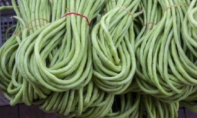 周公解梦梦见豇豆是什么意思（属虎的姓名带什么偏旁）