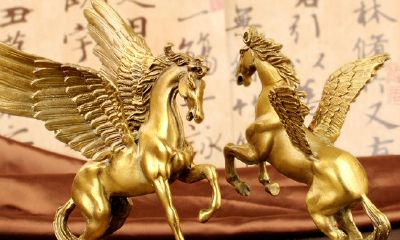 金龙鱼头朝哪边招财（招财金龙鱼摆放位置）