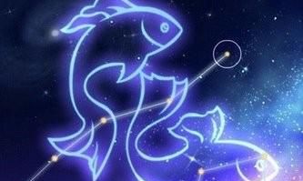 双鱼座对待爱情不懂的付出吗（双鱼座感情重要还是钱重要）