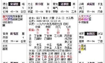 紫微斗数看出家的命格（紫微斗数中强大上等的命格）