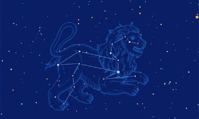 狮子座女喜欢你的暗示（天秤女喜欢一个人的表现）