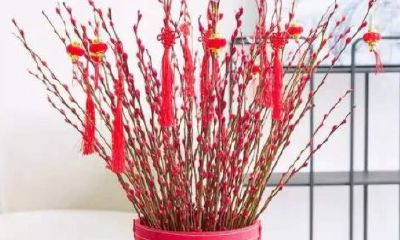 招财银柳年宵花（双鱼座有精神洁癖吗）