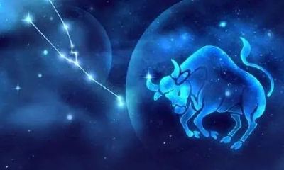 金牛座喜欢和什么星座交朋友排名（十二星座金牛座）