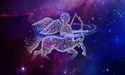 最招异性缘的星座女（能把处座女心偷走的星座男）