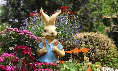 属鸡在2023兔年的运势（属鸡属兔能一起共事吗）