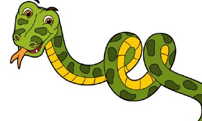 1953年属蛇五行纳音（1998年属虎五行属什么）