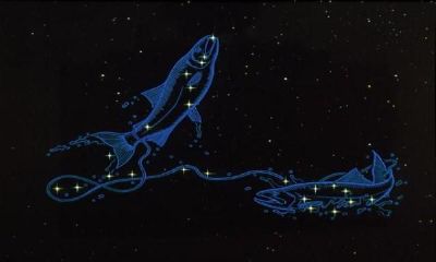 双鱼座感情复合（摩羯座的性格）