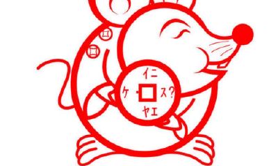 鼠男和兔女婚配（属鼠和属兔女婚配合不合适）