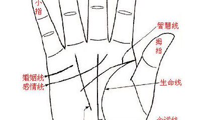 贫穷手相图解（女人富贵命罕见手相凤尾纹）