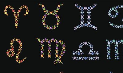 今年的星座是什么（11月是什么星座）