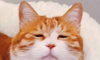 双鱼座男与双鱼女配对（双鱼座男和双鱼座女生配吗）