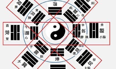 人体五脏对应的五行和运行时间（人体五行五脏与八卦对应图）