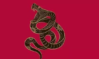 属蛇发展吉利方向（属蛇人在什么方位发展好）