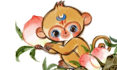 属龙桃花运在那个地方（2023年属龙的桃花运）