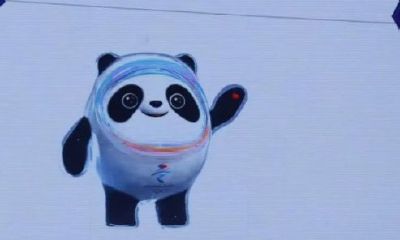 属马2023年吉祥物是什么（1966年属马的是什么命）