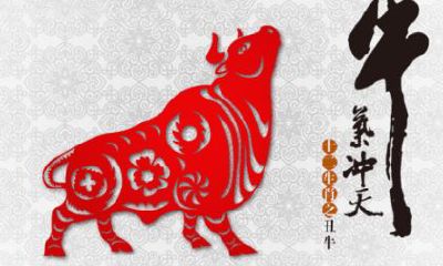 85年是属啥的属相（85年的人属什么属相）